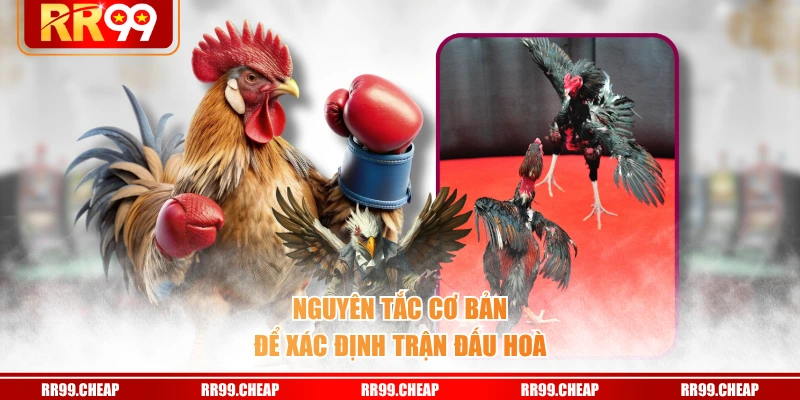 Nguyên tắc cơ bản để xác định trận đấu hoà