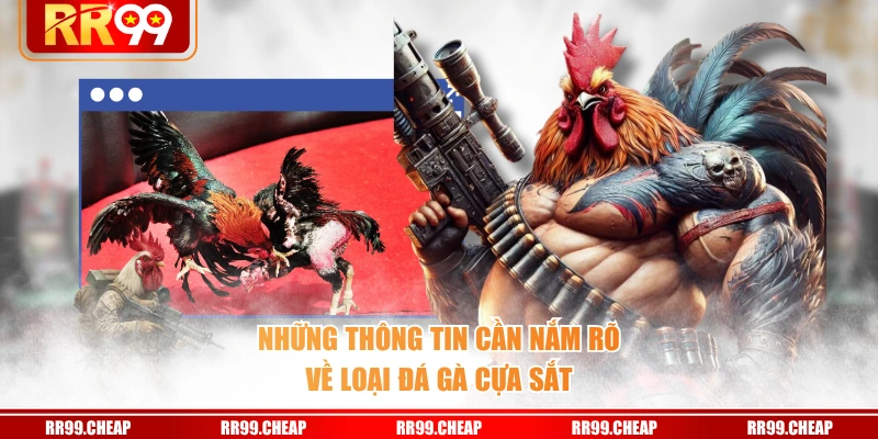 Những thông tin cần nắm rõ về loại đá gà cựa sắt